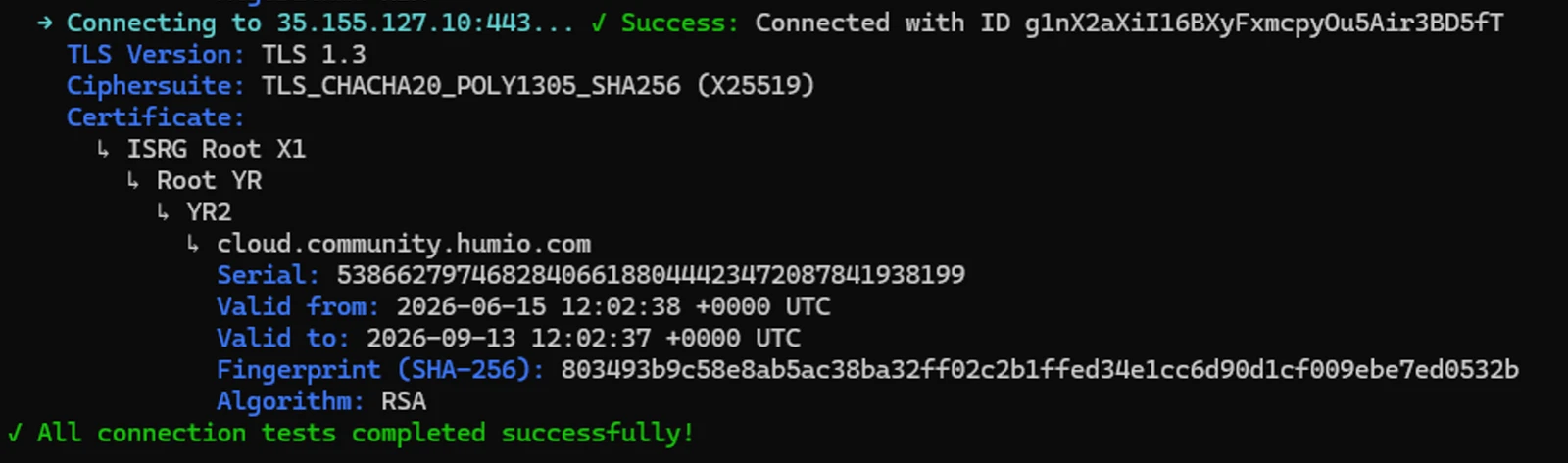 debug ping success